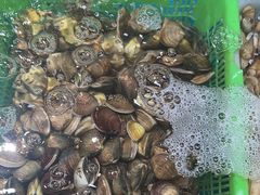 -和源祥·日照菜扛把子(万平口一店)