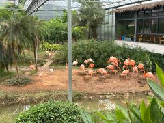 -无锡动物园·太湖欢乐园