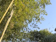 -汇龙潭