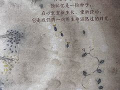 -宣科纳西古乐·非遗音乐(大水车店)