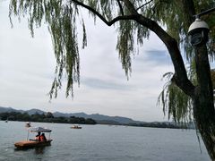 -西湖游船