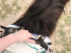 -天目湖松岭竹海漂流