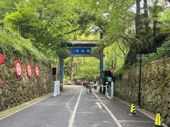 -龙井村