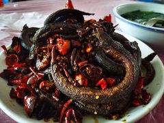 盘龙鳝鱼-盘龙黄鳝(盘龙居店)