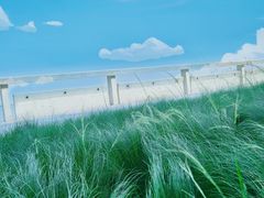 -滴水湖