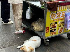 -西双版纳集贸市场