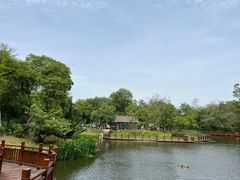 -扬州市茱萸湾风景区