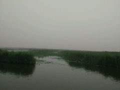 -白洋淀景区