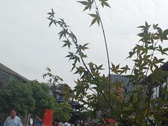 -大南门牛肉包子店