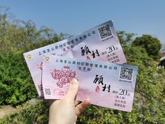 -顾村公园
