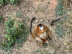 -云南野生动物园