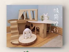 -学知乐教育·幼小衔接·小学科辅导(浦东外高桥森兰中心)