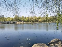 -长春市南湖公园