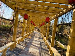 -中家鑫园温泉酒店鑫悦汤泉