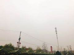 -雅和生态渔庄·宜城锅巴饭(龙灵山公园店)