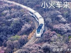 -居庸关长城