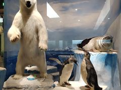 -国家自然博物馆