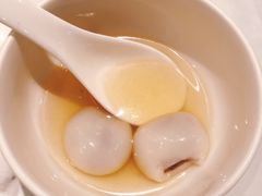 -MR鹅外