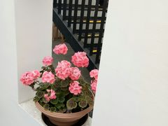 -大隐国际青年旅舍(上海陆家嘴东方明珠店)