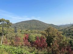 -南京老山国家森林公园