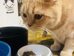 -小时光咖啡馆(开森度假森林店)