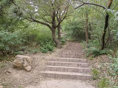 -北京西山国家森林公园