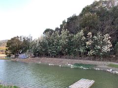 -东钱湖旅游度假区