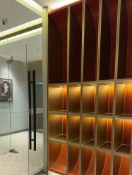 -深圳米兰柏羽医疗美容医院