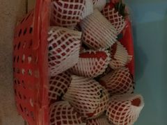 -菜园坝水果市场
