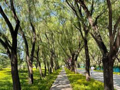 -野鸭湖国家湿地公园