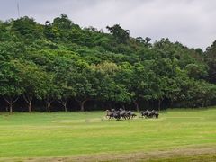 -广州雕塑公园