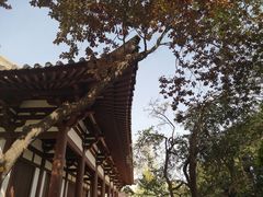-西安青龙寺遗址景区