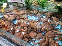 -79号渔船海鲜饭店(宝安店)