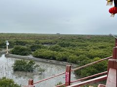 -北海金海湾红树林生态旅游区