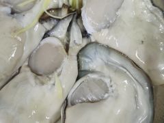 生蚝-台山侨雅海鲜粥底火锅(台山侨雅花苑店)