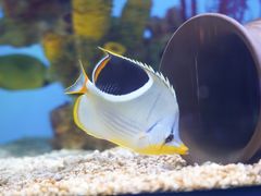 -上海海昌海洋公园