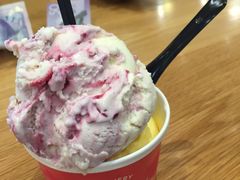 冰淇淋-Patagonia Chocolates(皇后镇店)