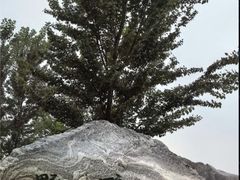 -野鸭湖国家湿地公园