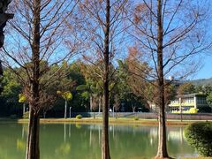 -湖泉半山温泉