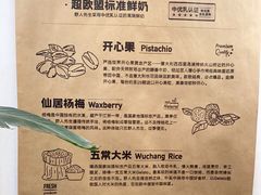 -野人先生现做冰淇淋(北京王府井东方新天地店)