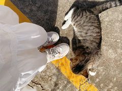 -禾斗海鲜自助(城阳宝龙店)