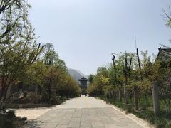 -西安关中民俗艺术博物院