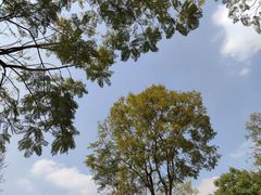 -重庆中央公园(渝北区)