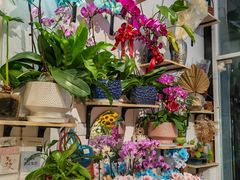-FEI FEI FLOWER鲜花店·气球派对·宝宝宴布置(虹口德必运动Loft店)