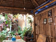 -Jungle Kitchen