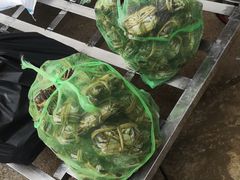 -渔人湾码头海鲜市场负二楼