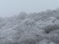 -太子岭滑雪场