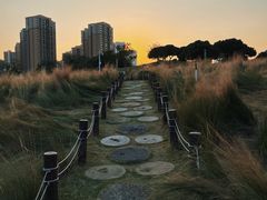-红花山公园