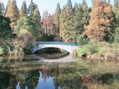 -东平国家森林公园