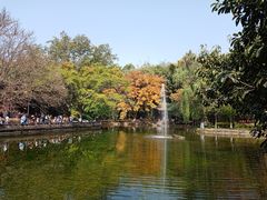-望江楼公园
